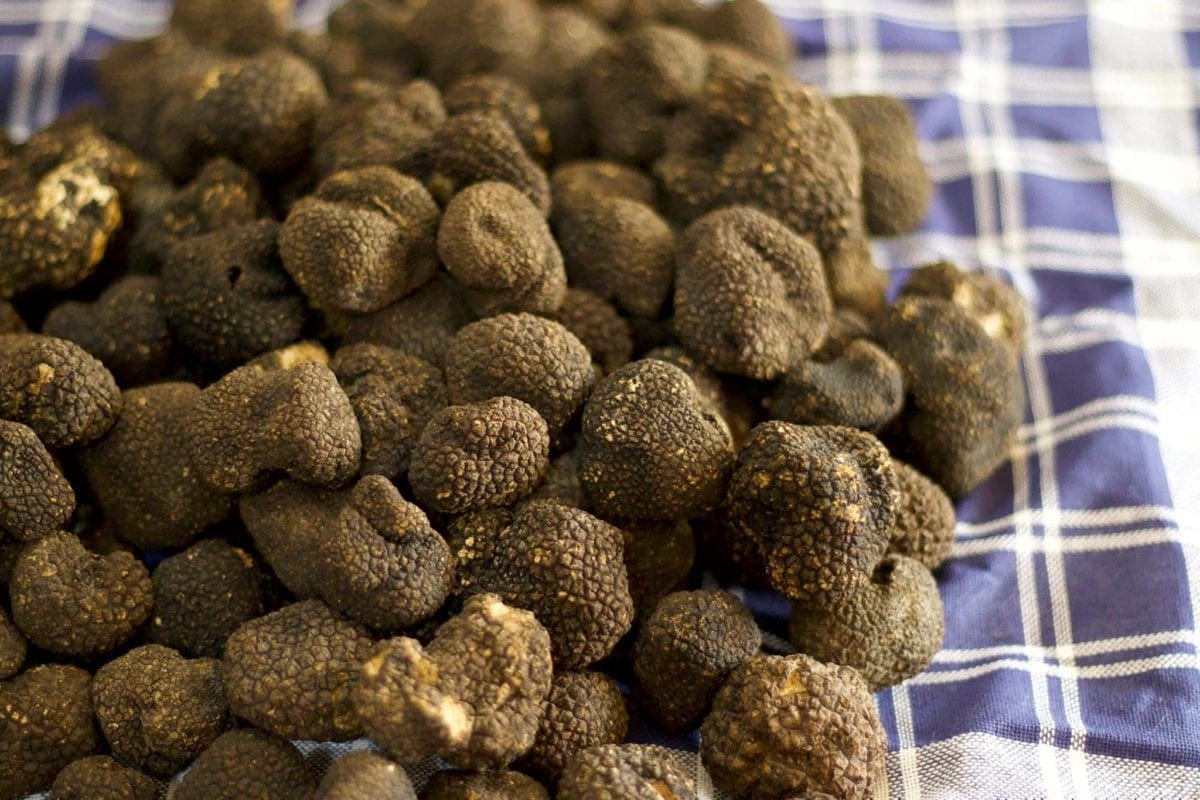 Truffles and co.